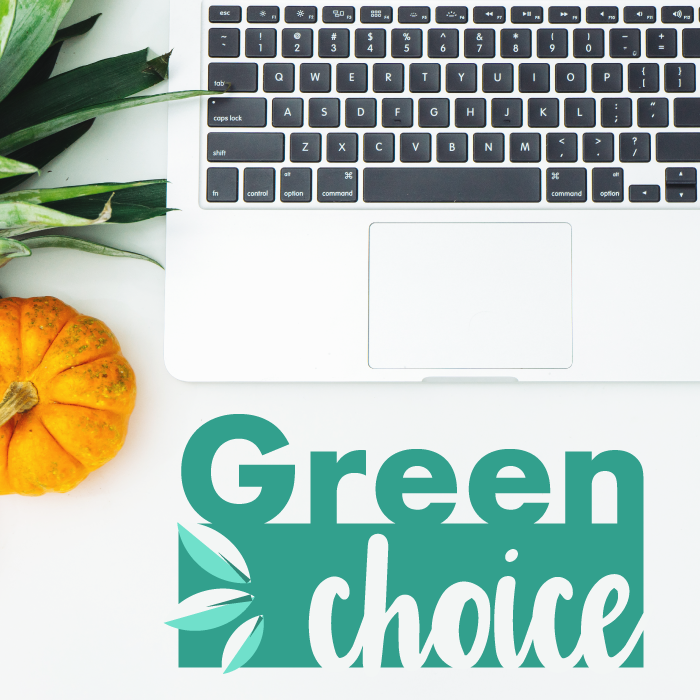 Healthy Food Blog Premade Logo Healthy Food Blog Premade Logo