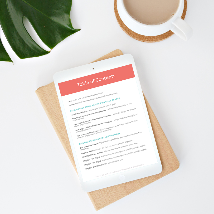 Blogging Success Workbook Bundle - Tarango Visual Studio
